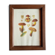 Mycological board under frame "Emile Boudier " 1910