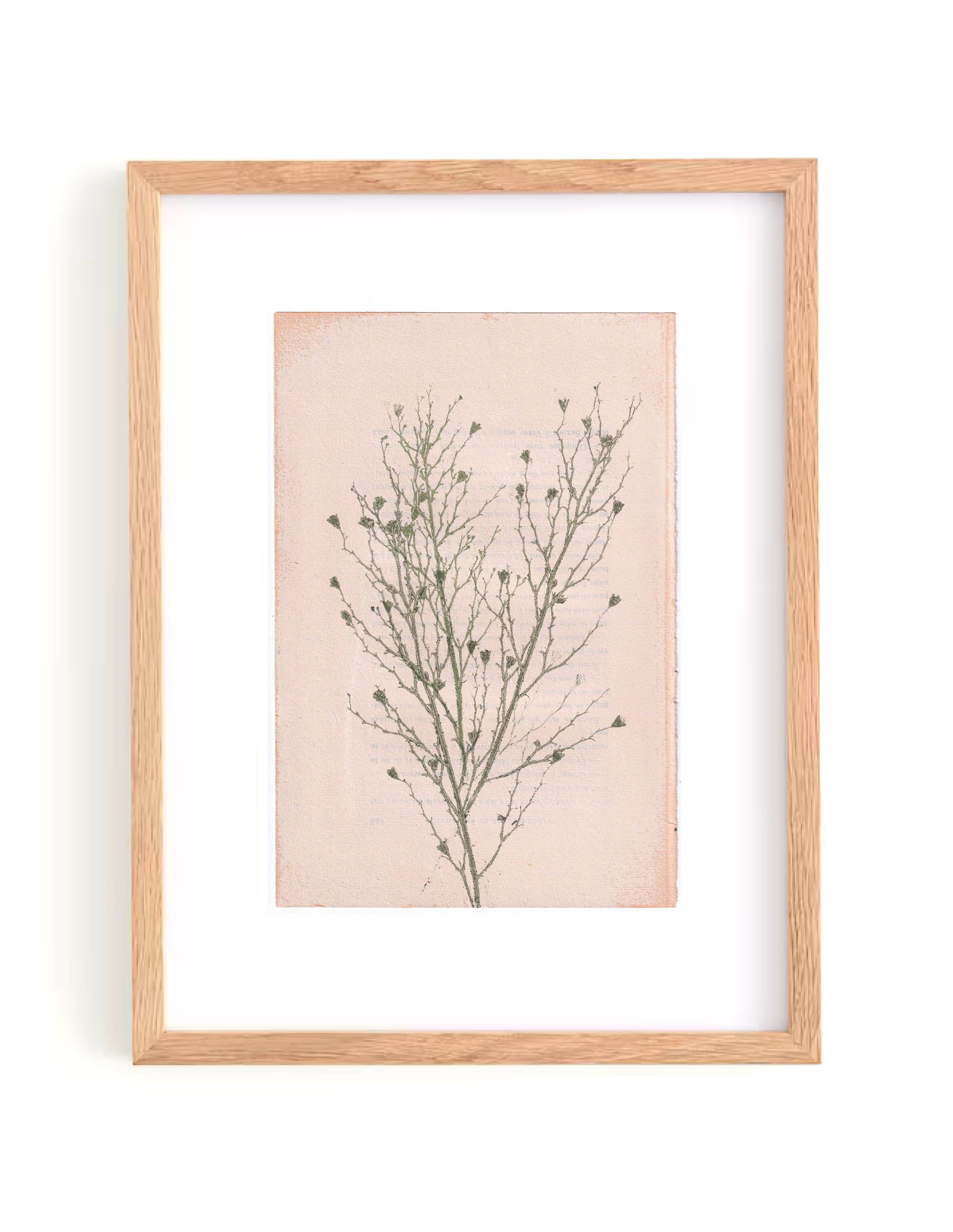 Painting on paper botanical herbarium series signed Eawy