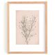 Painting on paper botanical herbarium series signed Eawy