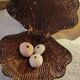Boite coquillage vintage en osier