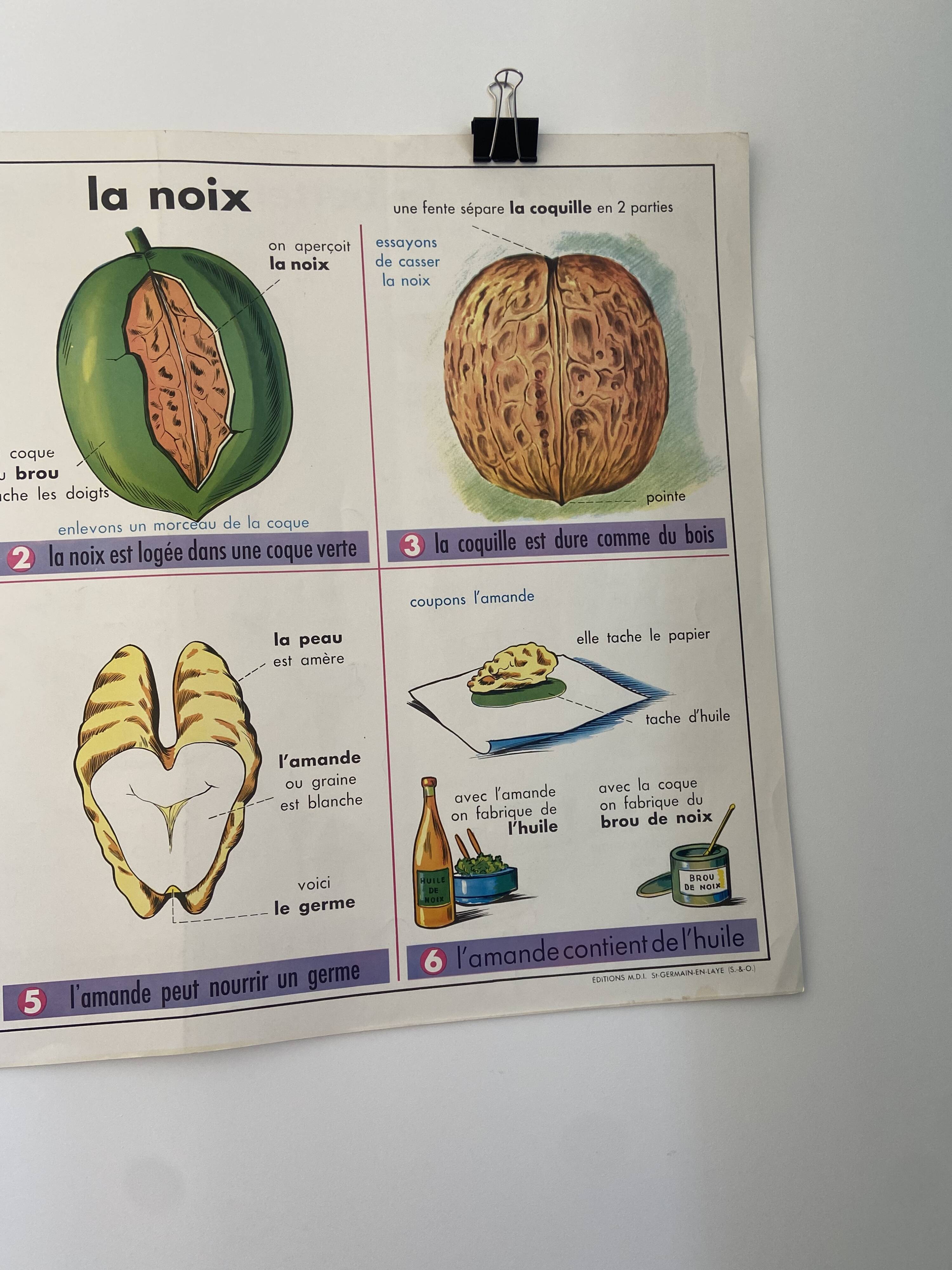 Vintage educational poster