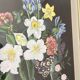 Vintage Still Life Painting of Flowers
