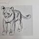 Illustrated plate, Studies of a lion cub and a hyena, Signed A. Margat, 1930