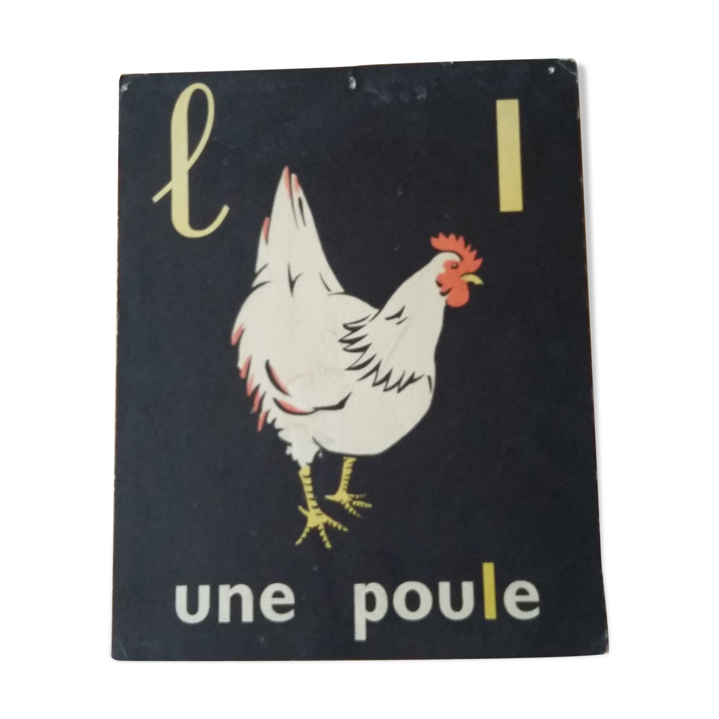 The hen, reading picture