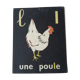 The hen, reading picture
