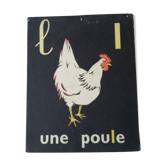 The hen, reading picture