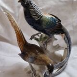 Pair of porcelain birds from Saxony