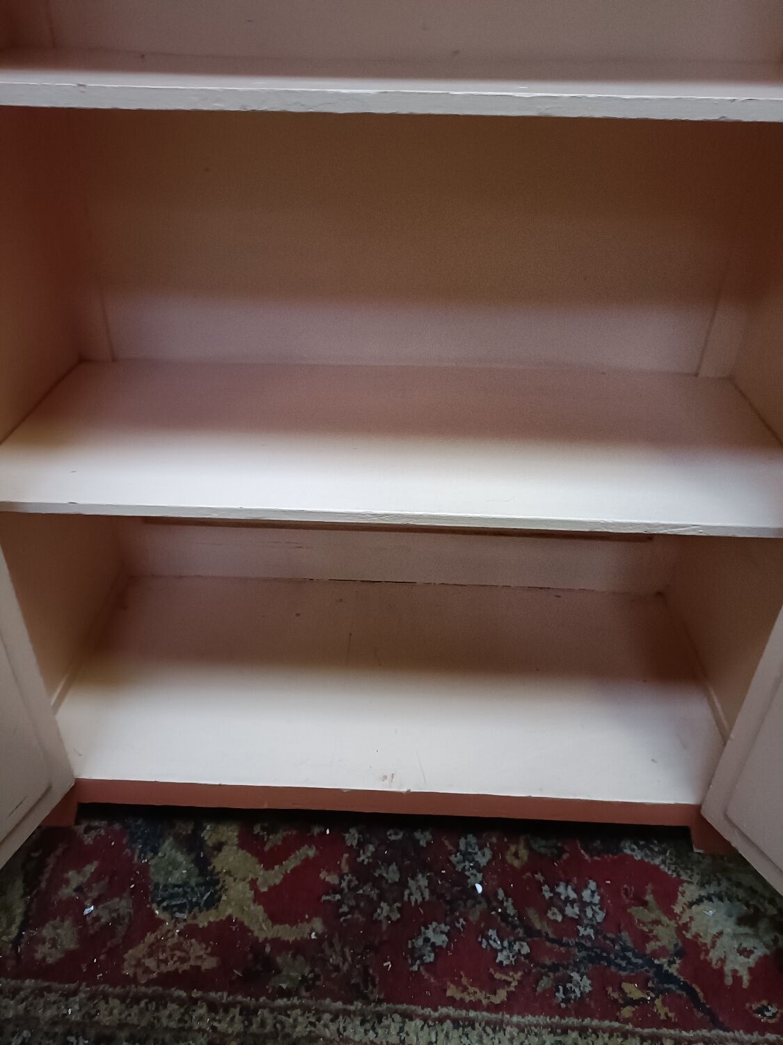 Vintage two-door cabinet with shelves