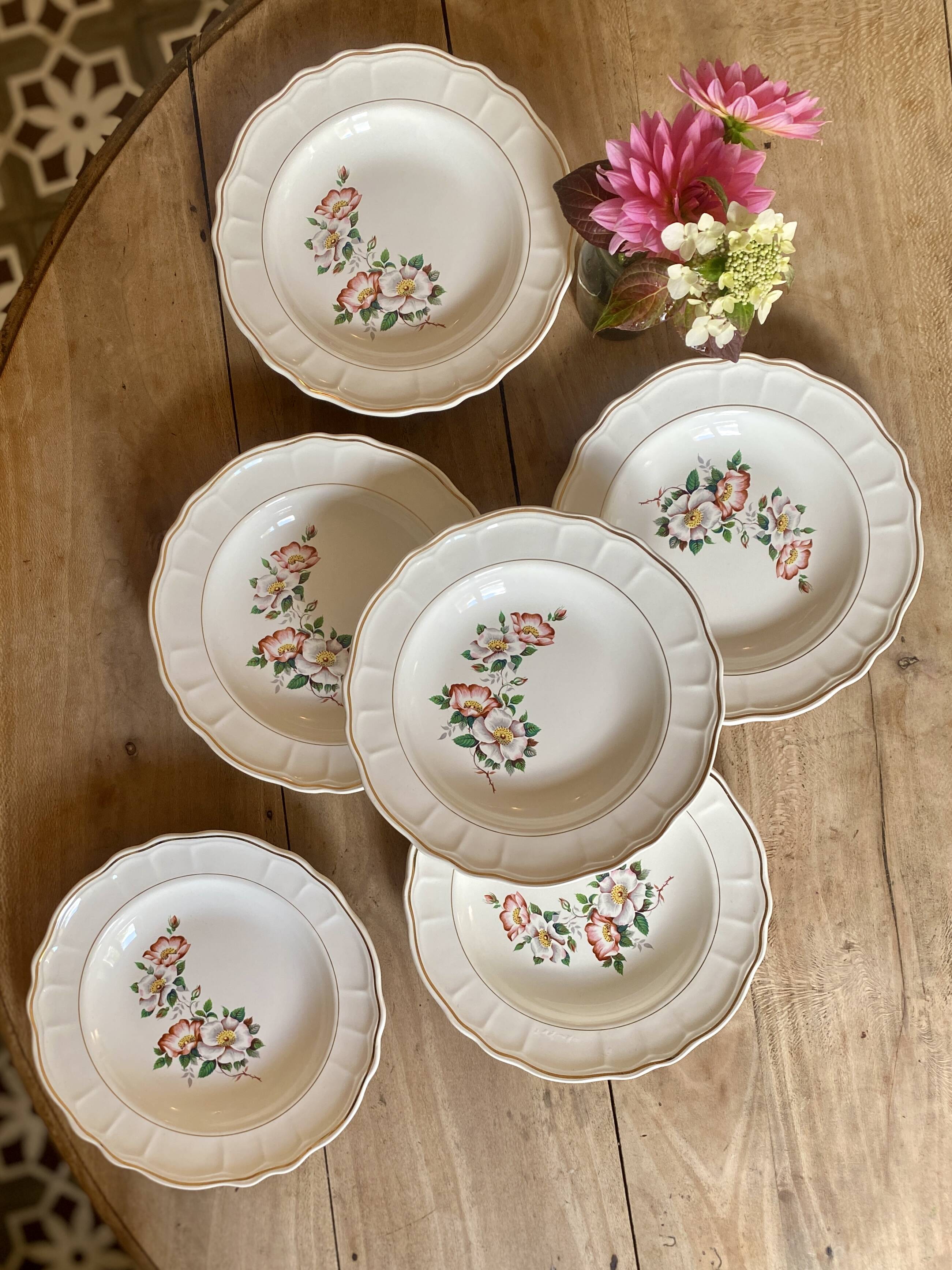 Set of 6 vintage Salins soup plates