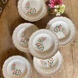 Set of 6 vintage Salins soup plates