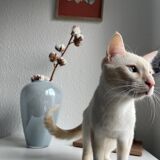 Vase en opaline bleu clair