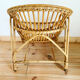 Shell armchair of the 50s in rattan