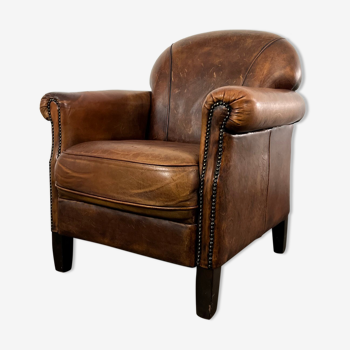 Club chair sheep leather