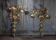Pair of bronze and gold metal floral wall sconces, flower wall lamp.