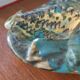 Vintage ceramic ashtray/pocket dump
