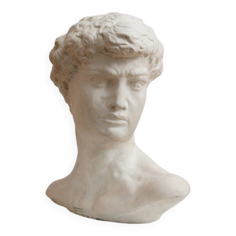 Bust of David in classical inspiration