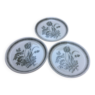 3 assiettes plates