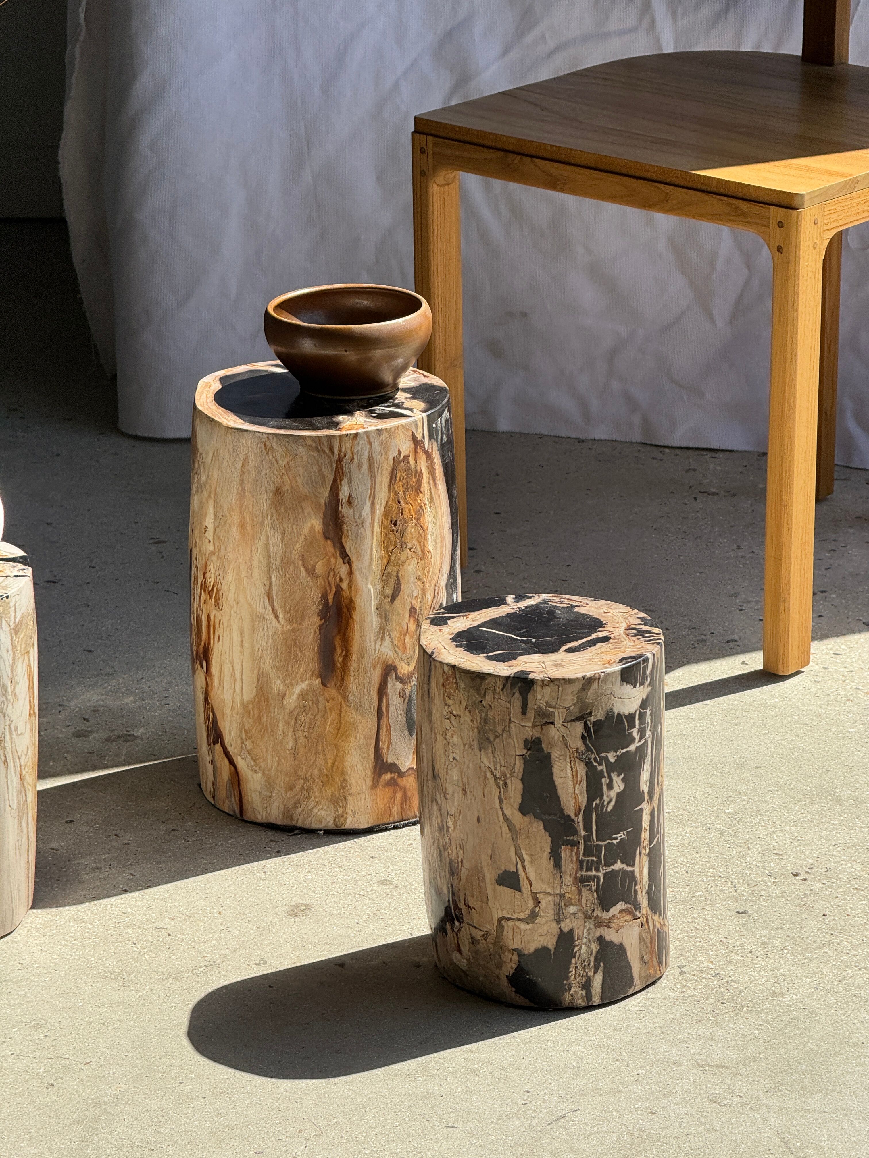 Petrified wood side table, black heart, beige bark, H35 D22 - 3330