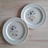 Duo d assiettes baies tendres