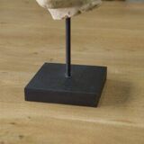 Sculpture of a head in reconstituted stone carved in the antique style of the 19th century