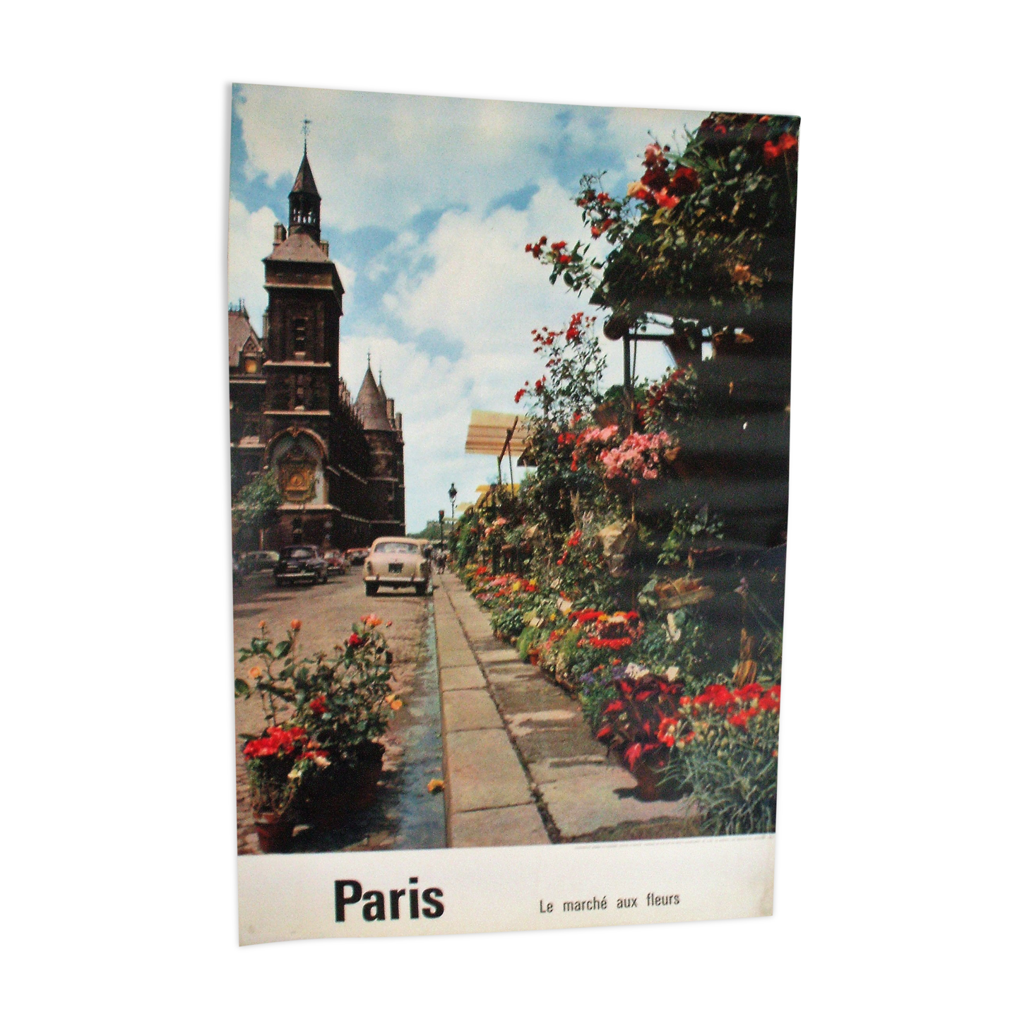 Displays the Paris flower market