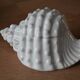 Ceramic box in the shape of a seashell