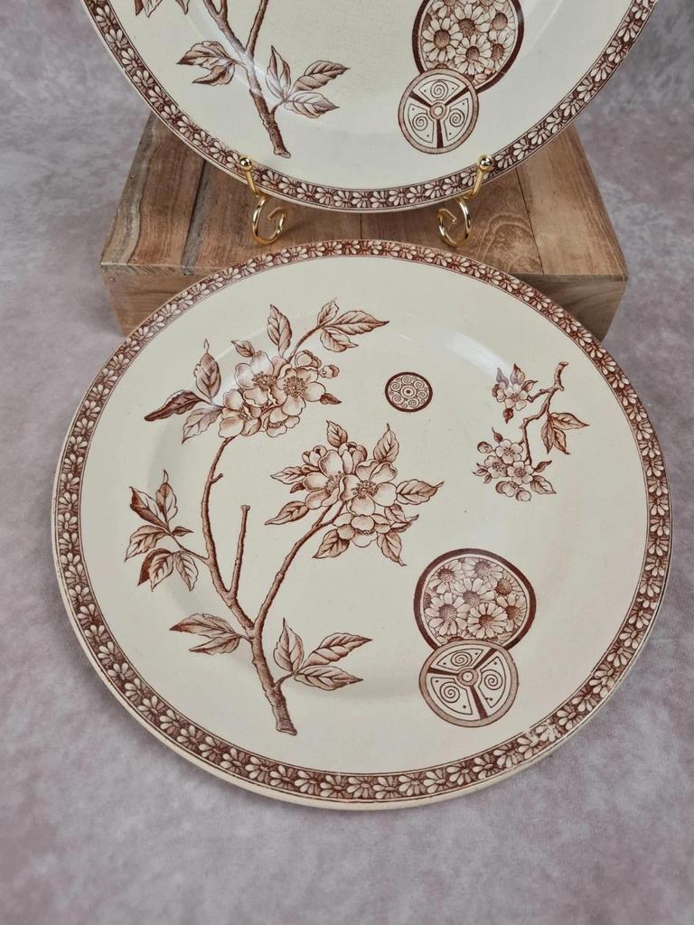 Set of 2 antique ironstone plates, "Daisy" pattern, Grand Dépôt Paris.