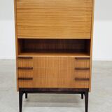 Office Secretary by Frantisek Mezulanik for Up Zavody 1960