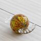 Blown glass paperweight - decorative glass candy.