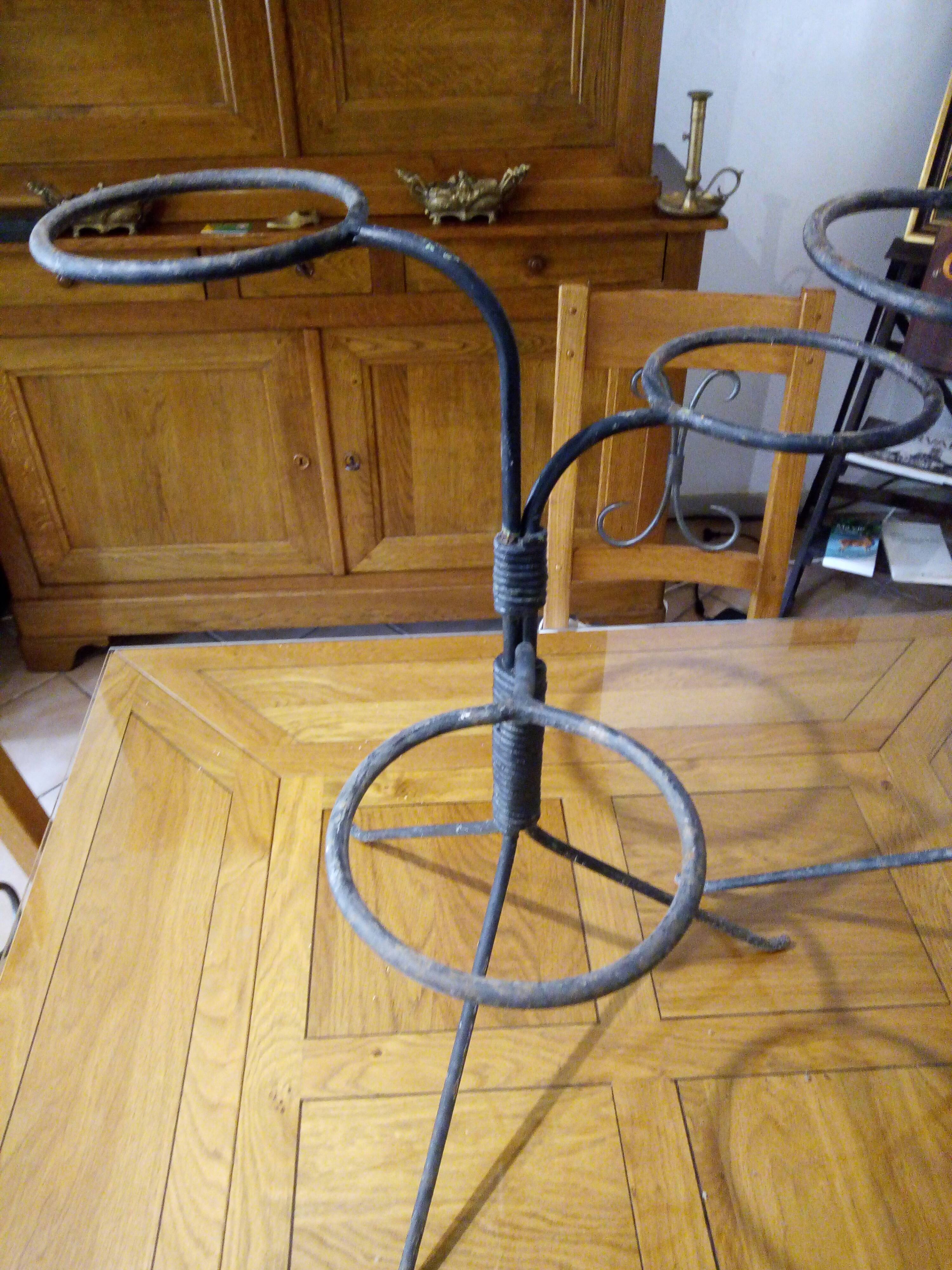 A pair of door plants