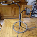 A pair of door plants