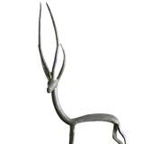 Gazelle brass, 50 years