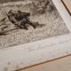 1890 Engraving Frank Paton, The Favorite's Bottom, Horse Racing