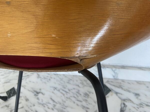 Paire de chaises tonneau par Pierre Guariche pour Steiner, années 50.