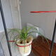 Vintage floor lamp