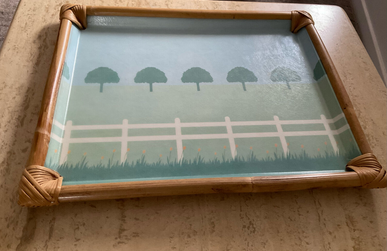 Vintage alpac tray in fiberglass and rattan