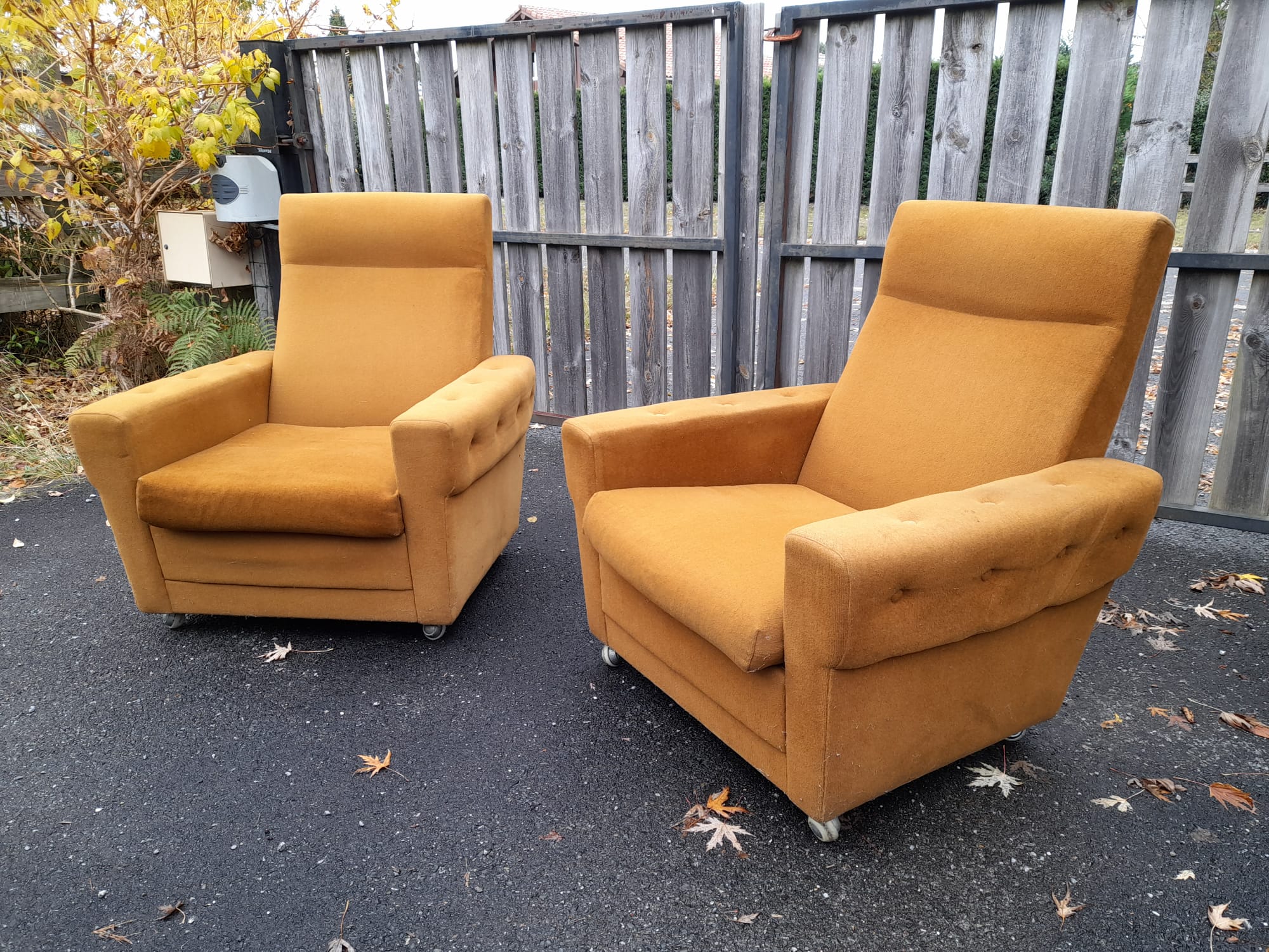 Pair of armchairs from the 70s in ochre velvet