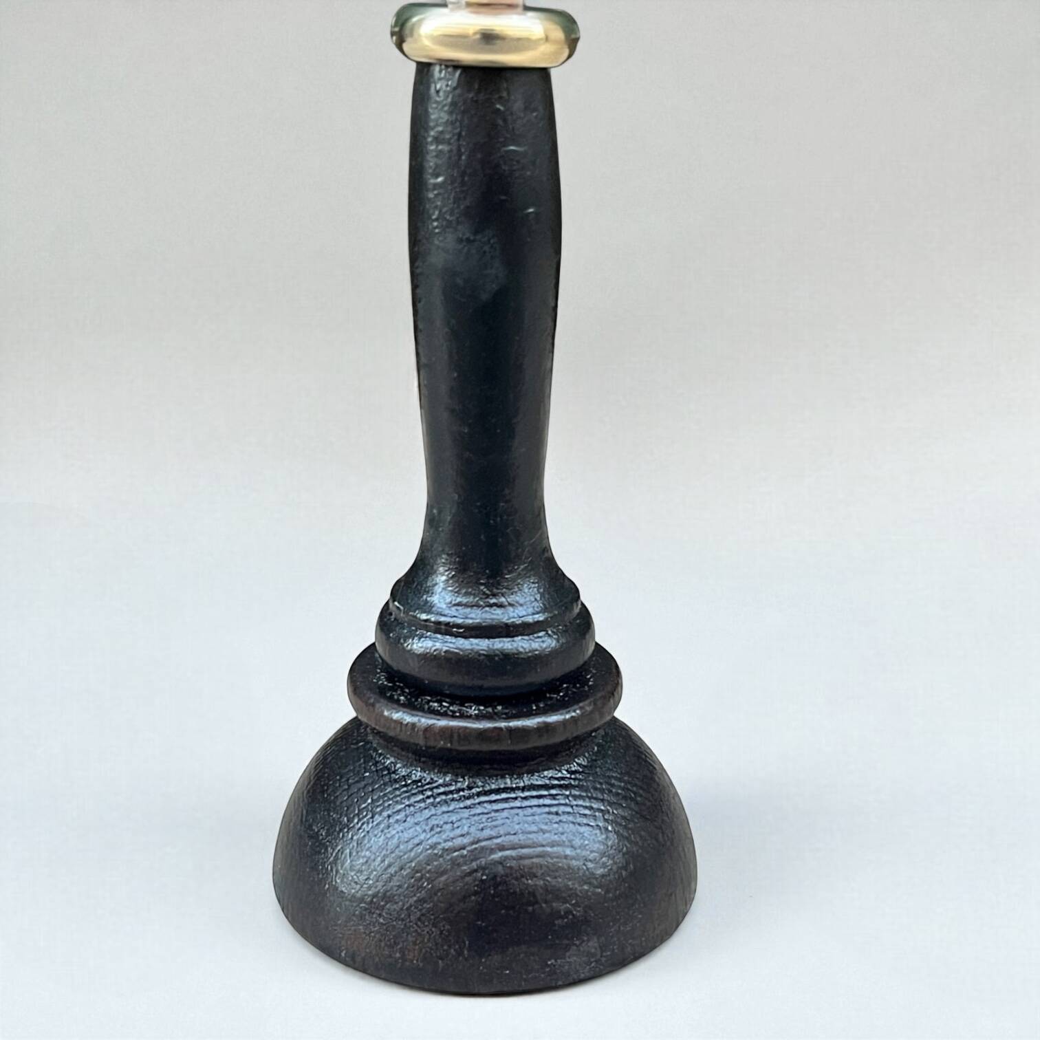 Cabinet of Curiosities: Triton Shell on a wooden base, late 19th century