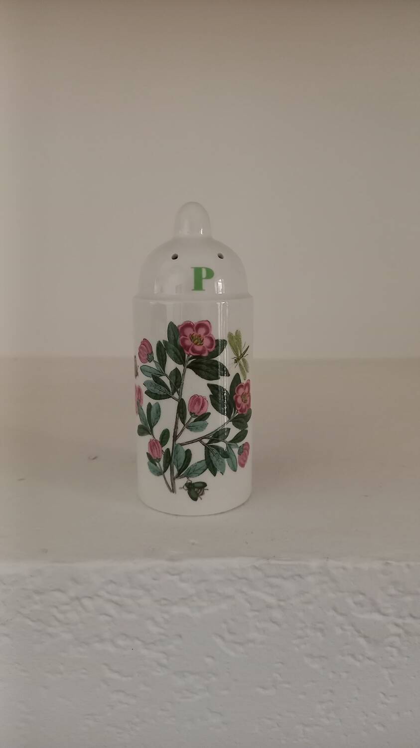 Salt and pepper shaker
