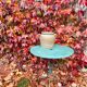 Table de jardin vintage verte