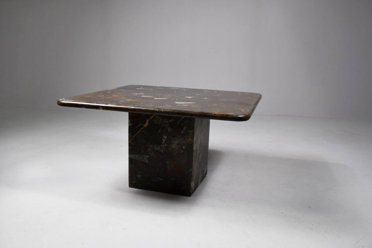 Vintage fossilized stone coffee table