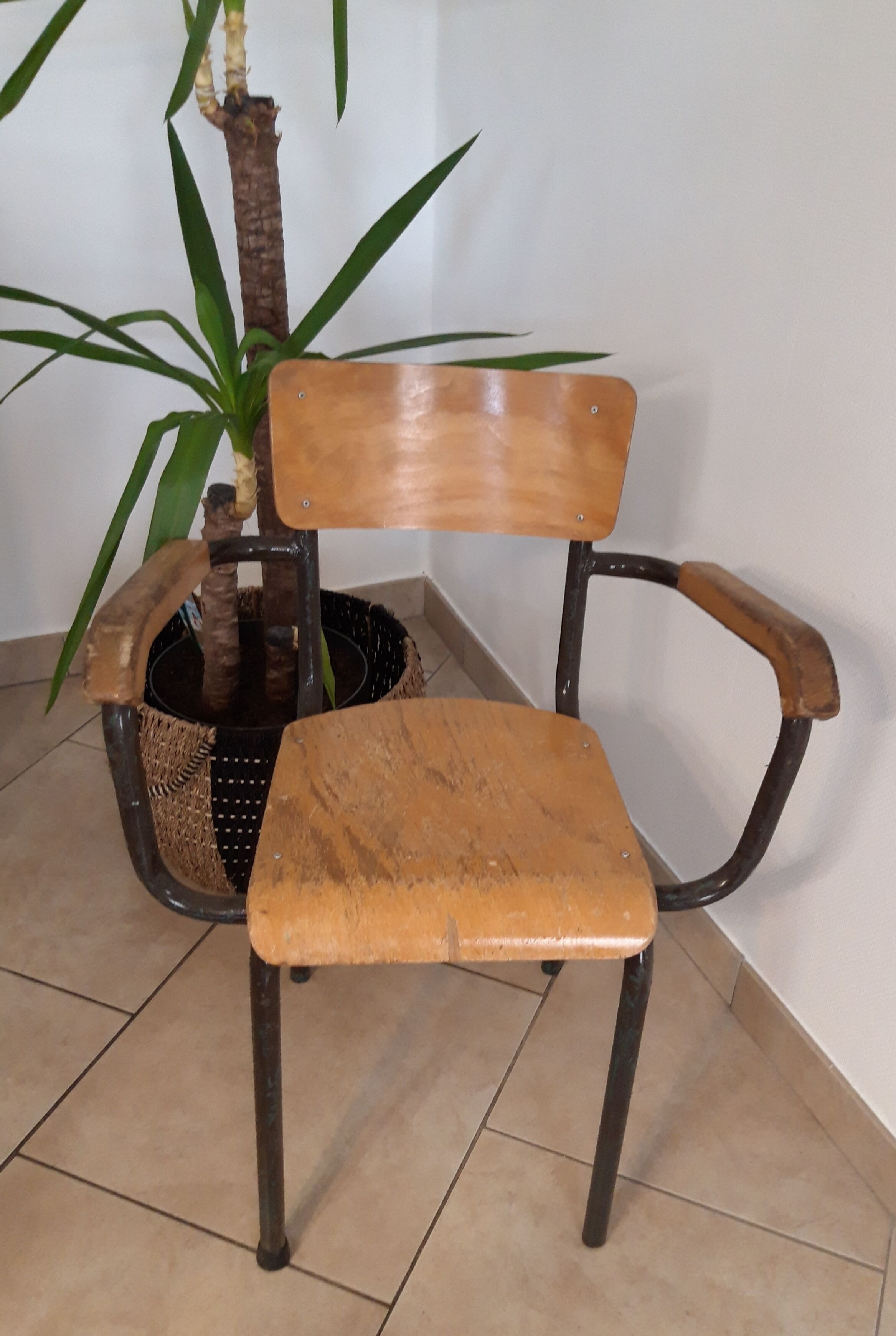 Set of 2 vintage schoolmaster chairs