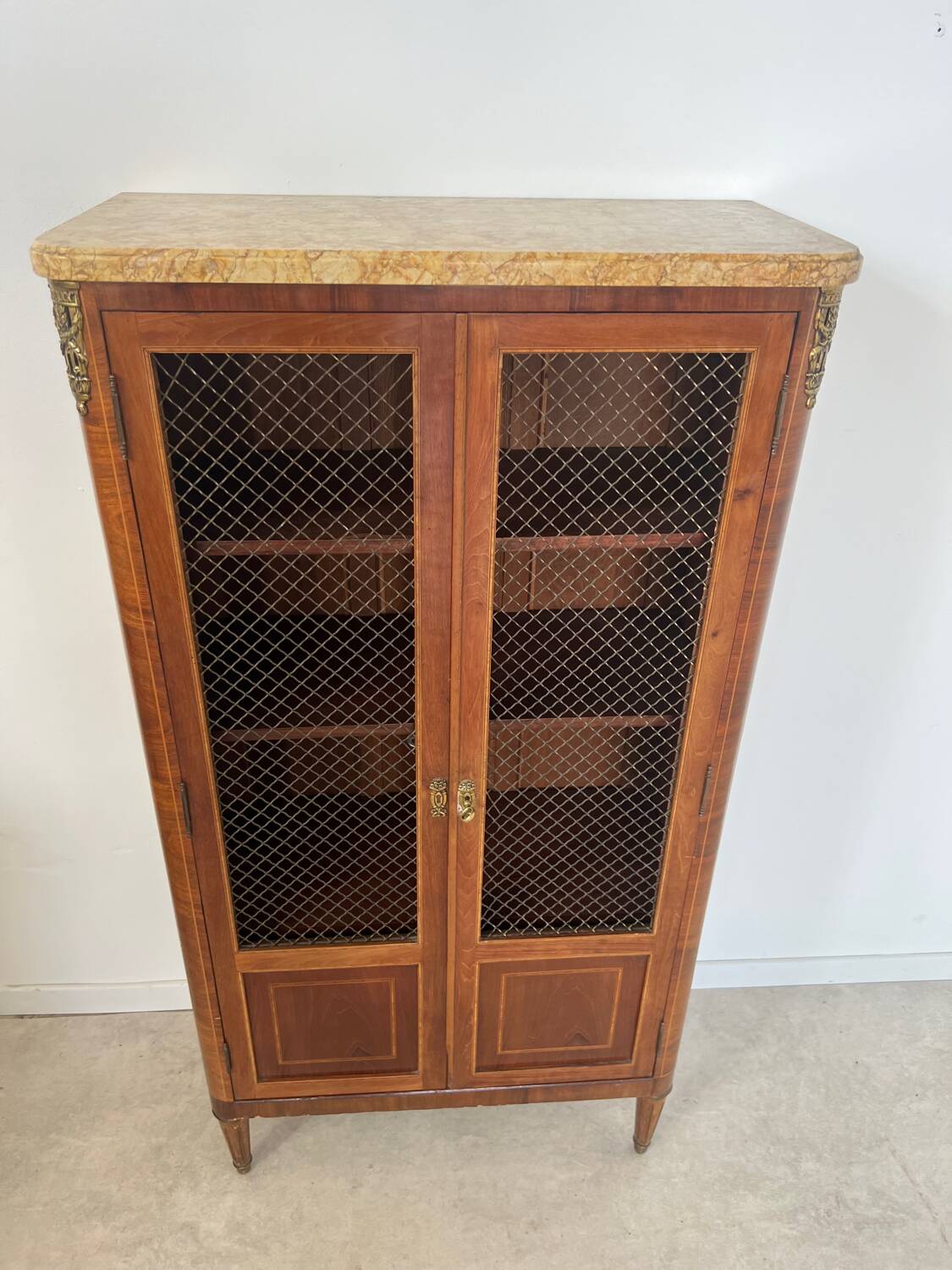 Old display case library with wire mesh from the Napoleon III period, late 19th century