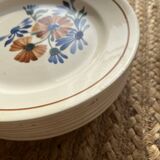6 HBCM flat plates Antibes model