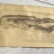 Large drawing of a “Nude” woman signed around the 1940s dimension: height -120cm - width -75