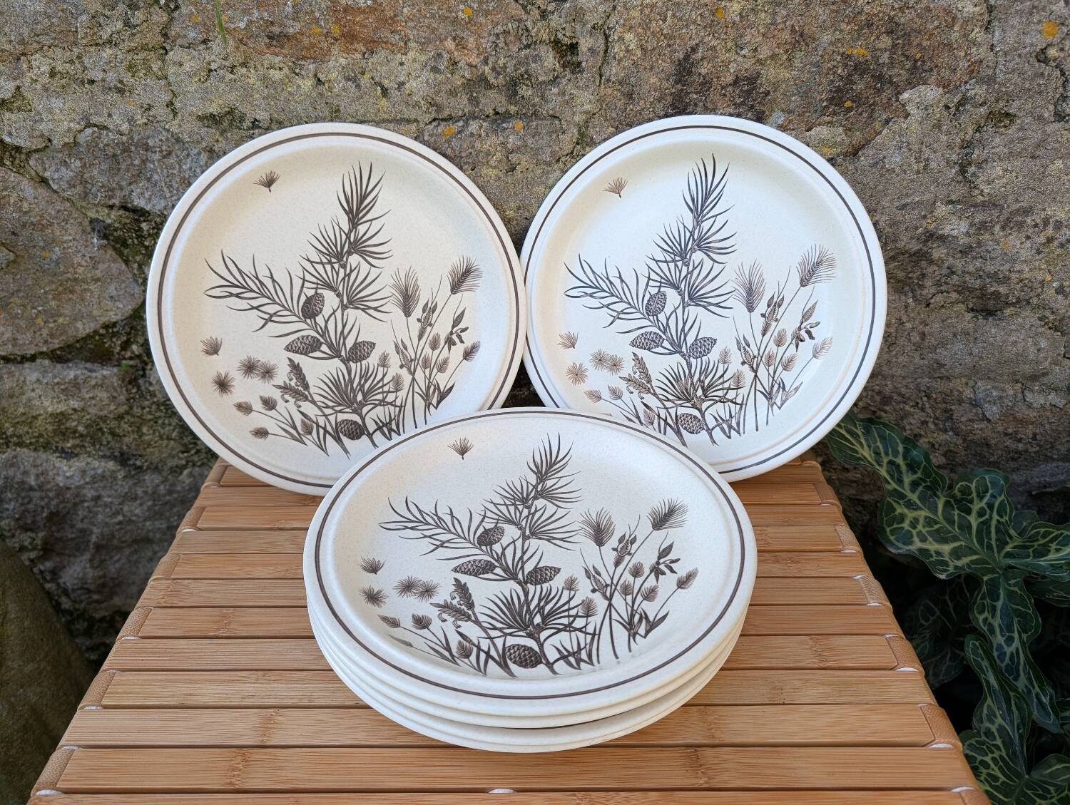 Assiettes Pinewood Grindley Angleterre années 70