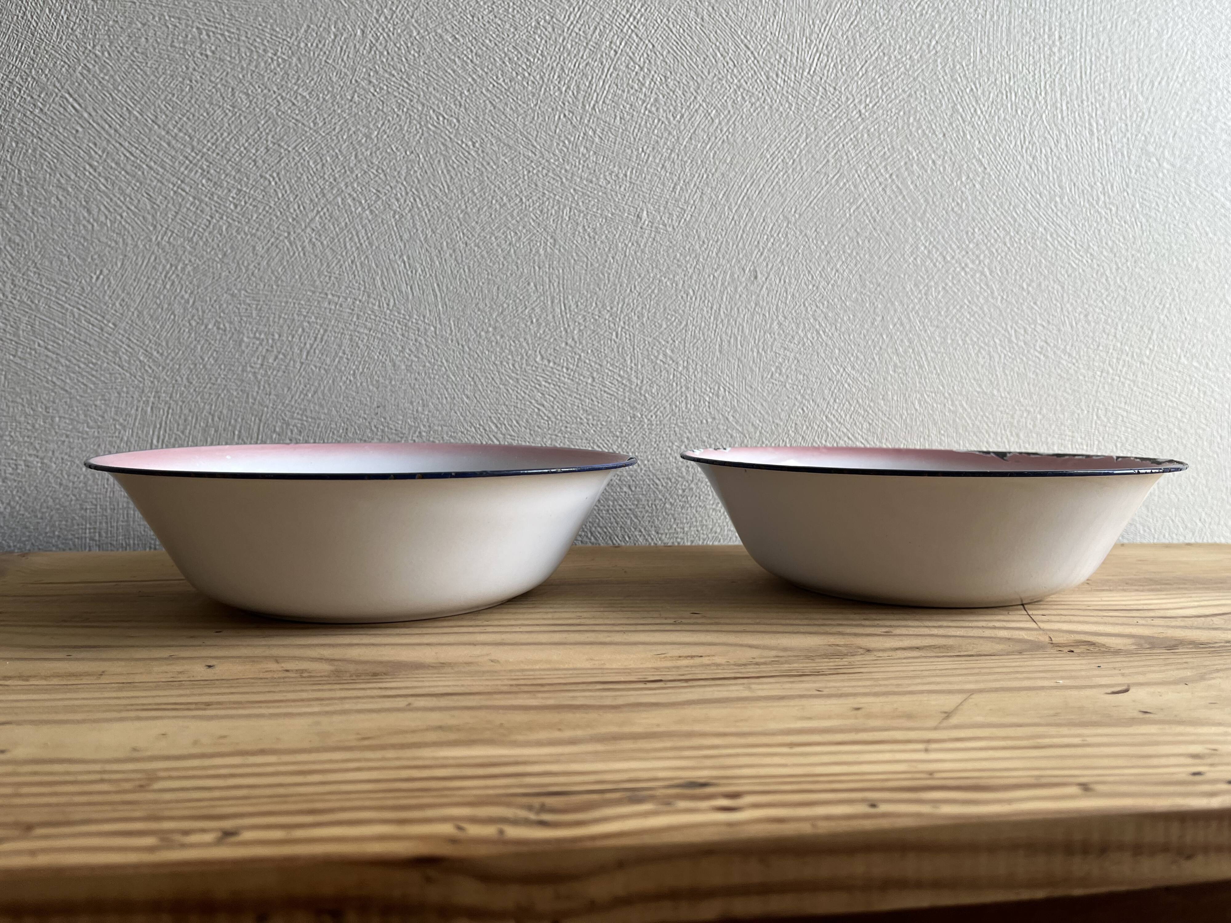 Enamelled dishes vintage flowers