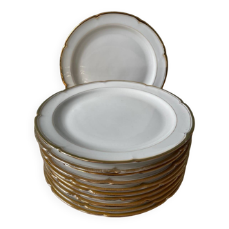 Series of 11 old flat plates in Limoges porcelain