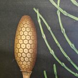Botanical board coated tissue