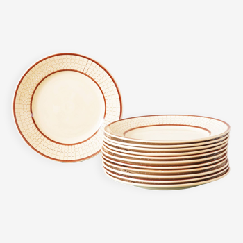 Service 12 plates 40s in fine earthenware